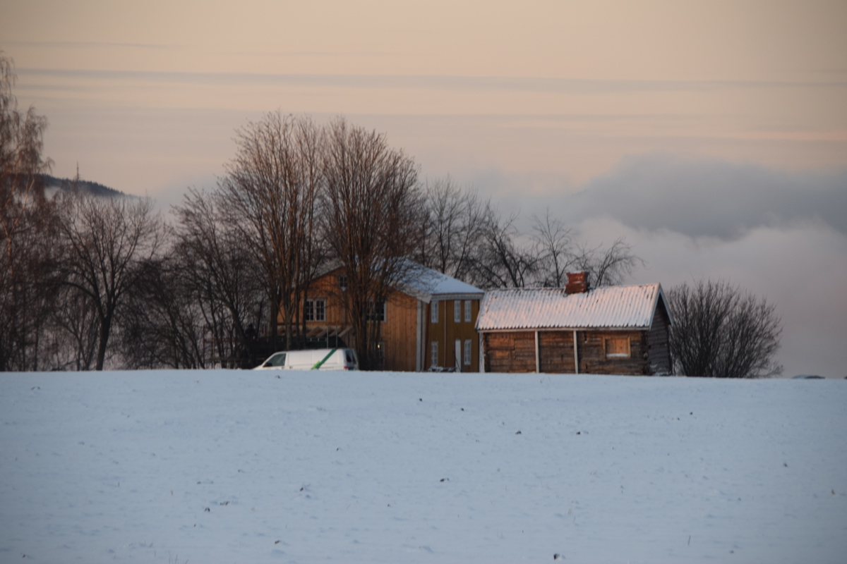 DSC_0416.JPG