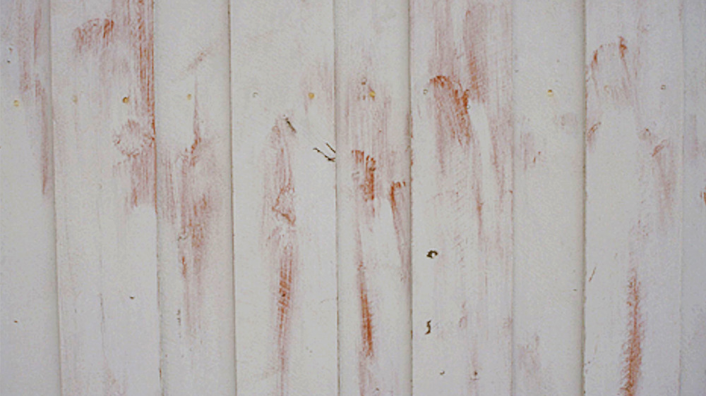 Nedslitt-hvitt-malingslag-Foto:-Jon-Braenne