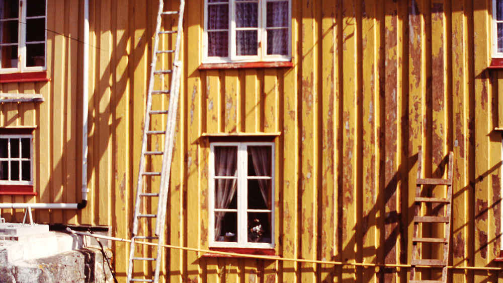 Koes-maling-er-fjernet-ved-skraping-Foto-Jon-Braenne