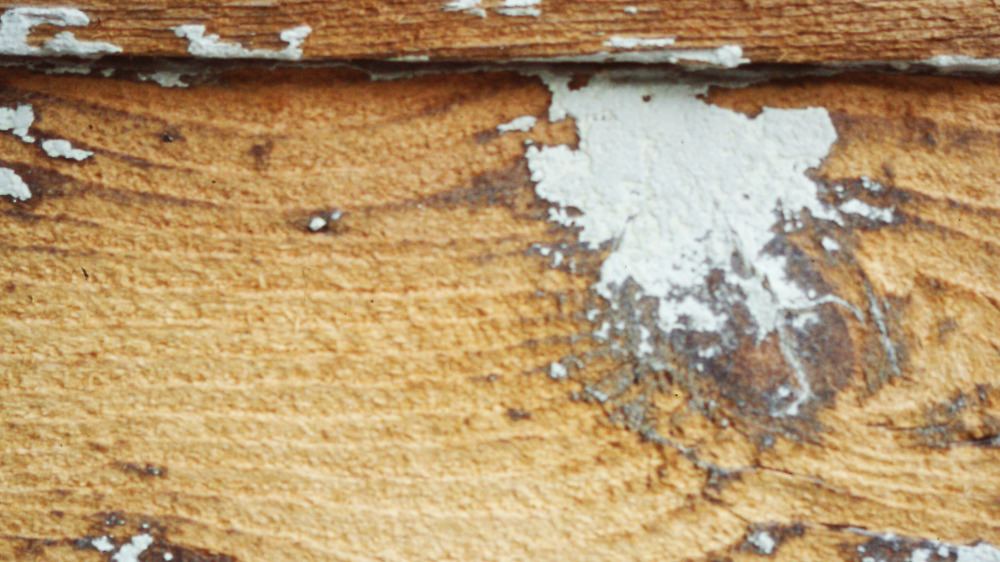 Overflate-skadet-av-sandblaasing-Foto-Jon-Braenne