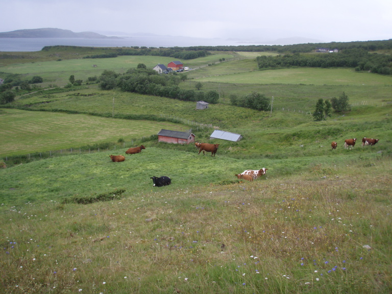 Anopset Foto Ingrid Golten