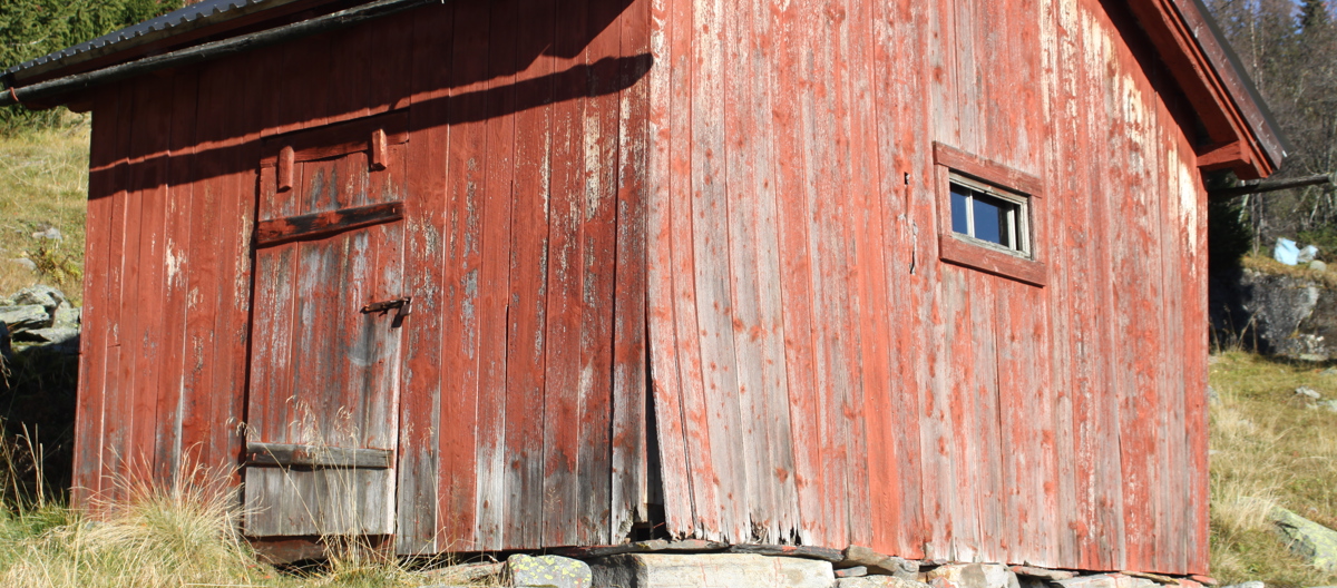 Ofte ser panelet dårligere ut enn det i virkeligheten er. Malingsavflassing er uproblematisk, men råte i nedre del bør utbedres. Foto: Bygg og Bevar