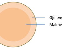Malmen er den feite kjerneveden i stokken, malmen furu har høy andel kjerneved.