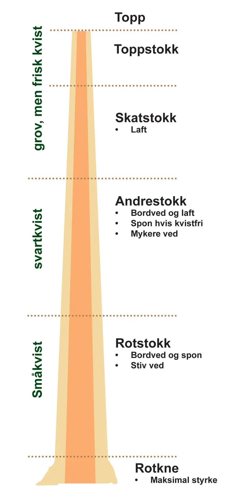 Tre - utnyttelse av stokken i lengde