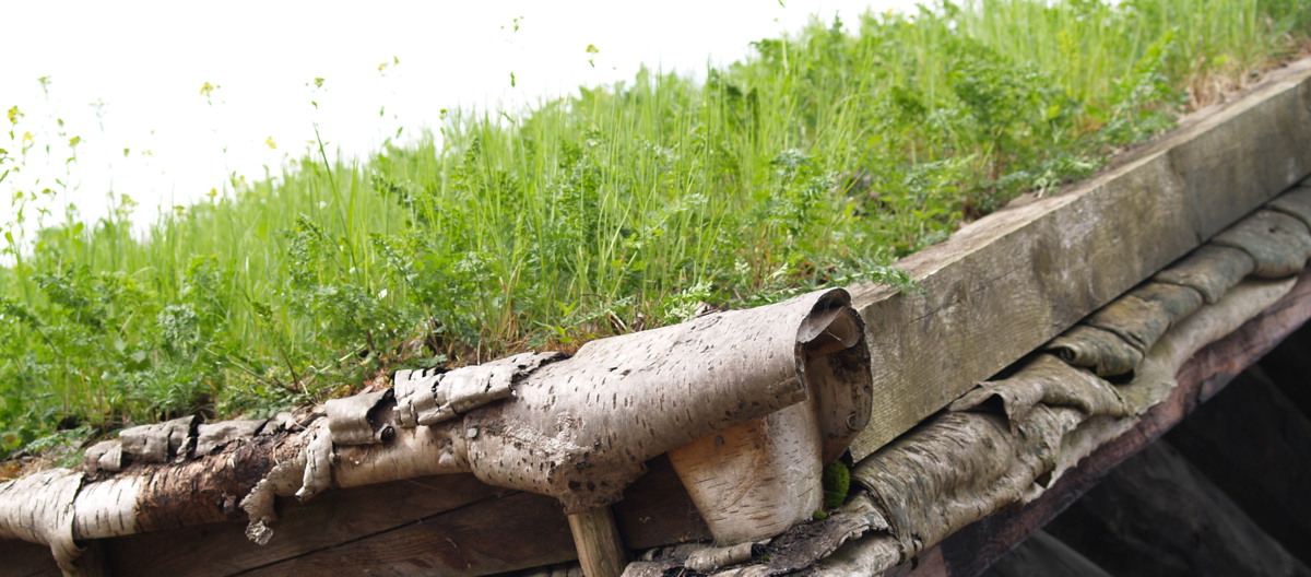 Torv på never, Folkemuseet på Bygdøy. Foto: CEWG