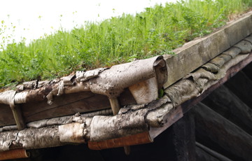 Torv på never, Folkemuseet på Bygdøy. Foto: CEWG