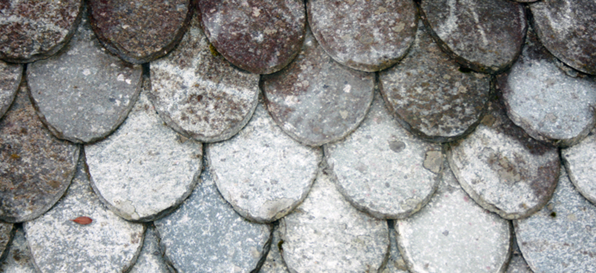 Lappeskifer, klippet i rund- eller dråpeform. Foto: Anne Madsen, TEF