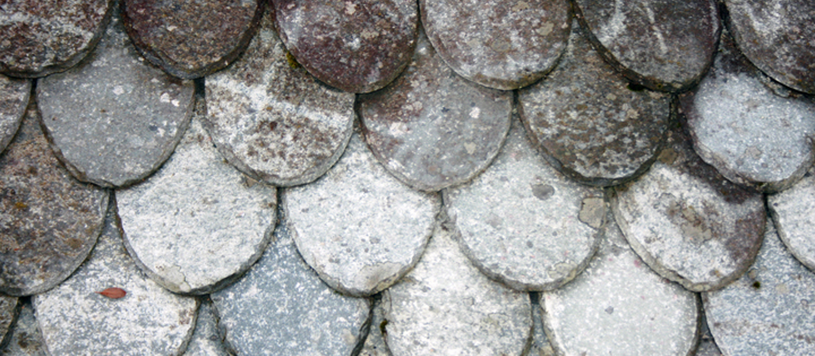 Lappeskifer, klippet i rund- eller dråpeform. Foto: Anne Madsen, TEF