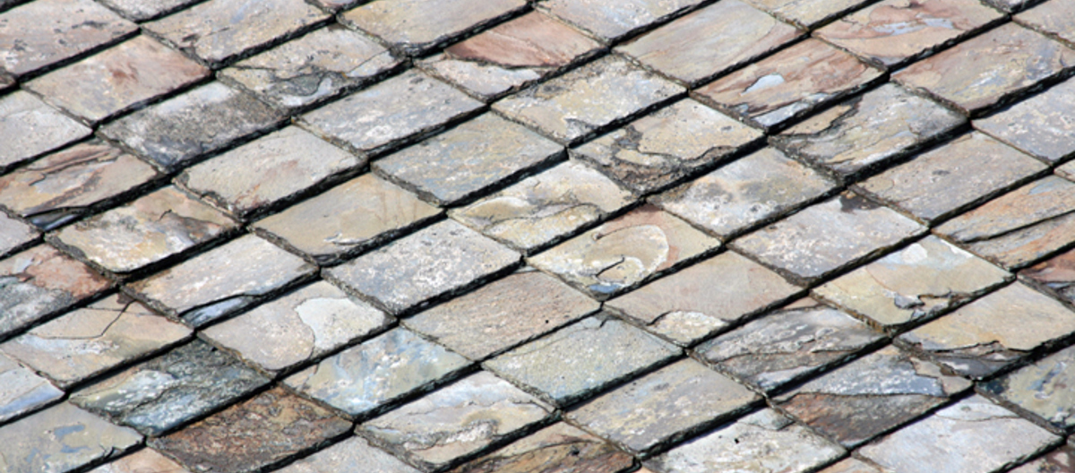 Firkant-skifer eller ruteskifer, Røros. Foto: Anne Madsen, TEF