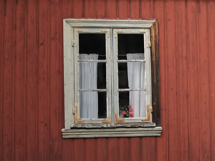 Vindu foto cewg