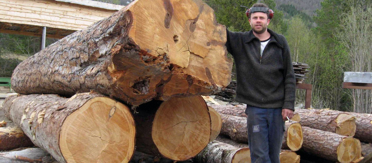 Kvalitet henger sammen med tyngde og alder på trærne. Foto: Jon Bojer Godal