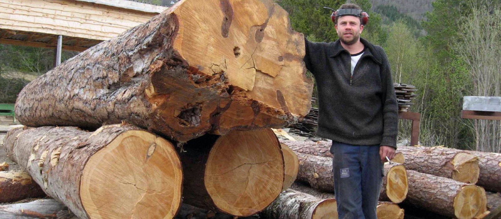 Kvalitet henger sammen med tyngde og alder på trærne. Foto: Jon Bojer Godal