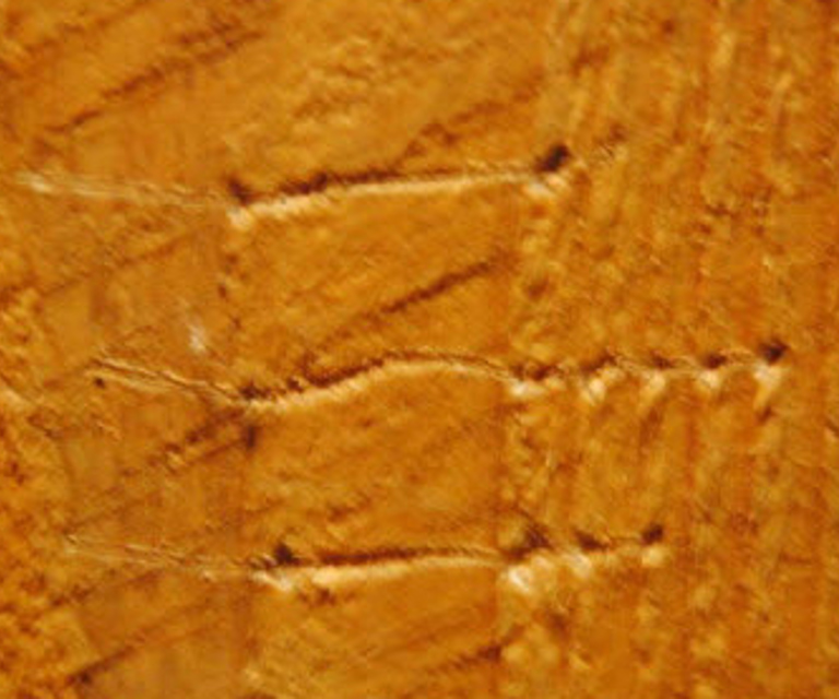 Rangsiden - gir hakkete risp. Foto: Jon Bojer Godal