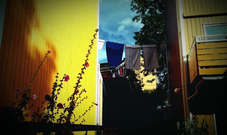 Rodeløkka. Foto: Hilde Fossum Sundre