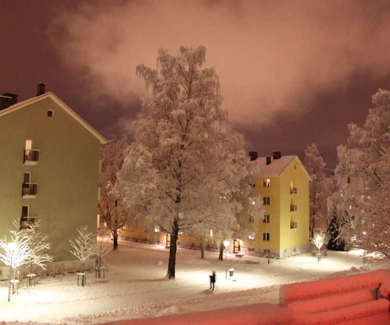 Vinternatt på Keyserløkka. Foto: Hilde Fossum Sundre