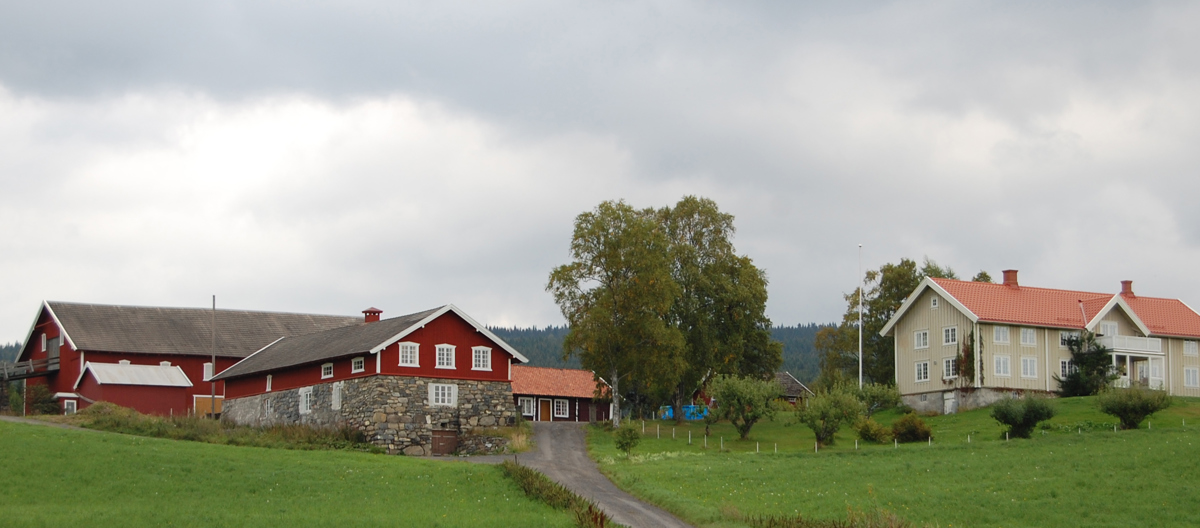 Gården ligger solrikt til, og omkranses av dyrka mark. Foto: Per Anders Gjørslie