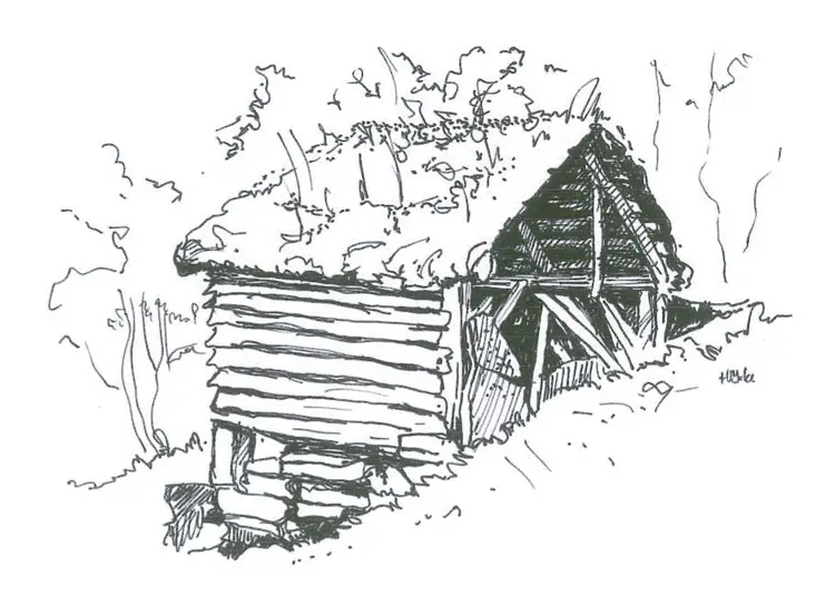 Tegning jedlaloeo