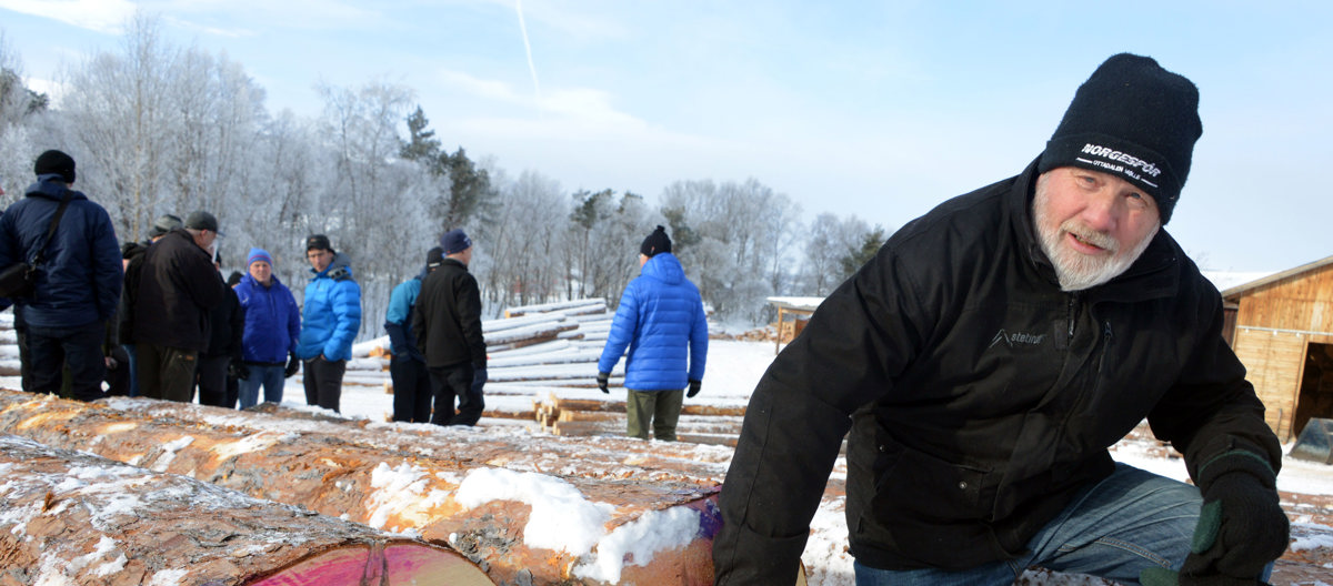 Digert og holdbart. Skogbruker Hans Hagen fra Sjåk er imponert over dimensjonene på spesialvirket til Materialbanken på Vingelen. Her med stor malmfuru. Foto: Bård Bårdløkken
