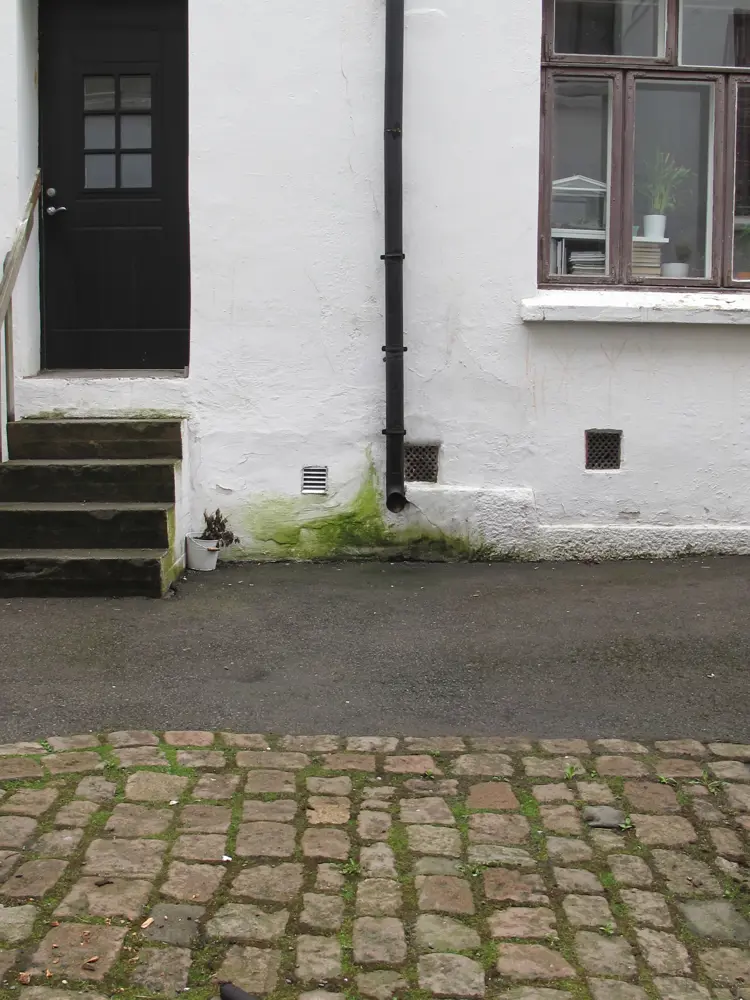 Fra Birkelunden Grünerløkka. Foto: NIKU