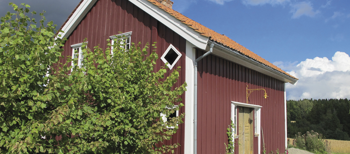 Sommer 2010. Foto: Norske Hjem