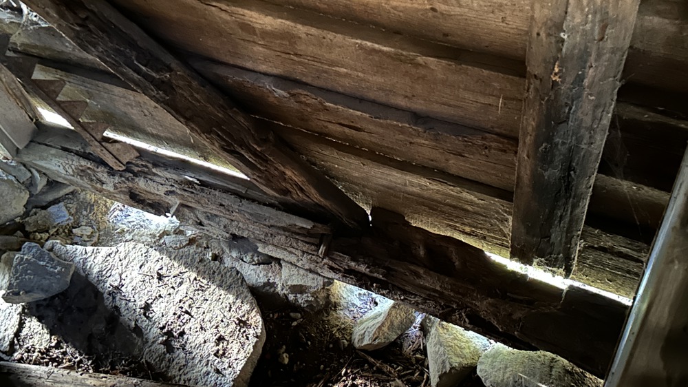 På innsiden var det tydelig råte. Foto: Christine K Jørgensen