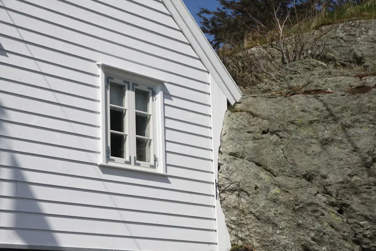 Tilpasset Omgivelsene Kjempe Med Og Ikke I Mot Elementene