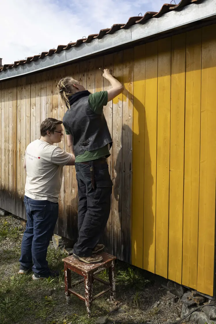 komposisjonsmaling-oker-gul