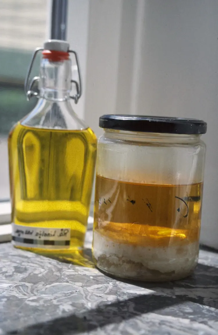 Bunnfallet viser at linoljen ikke er av god kvalitet. dette er mat for soppen. Foto: Else "Sprossa" Rønnevig