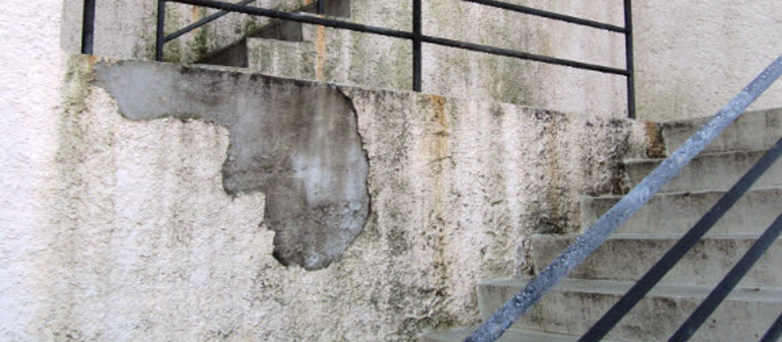 Fuktighet gir skader. Svertesopp og alger trives godt når pussen er fuktig. Foto: Weber