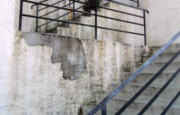 Fuktighet gir skader. Svertesopp og alger trives godt når pussen er fuktig. Foto: Weber