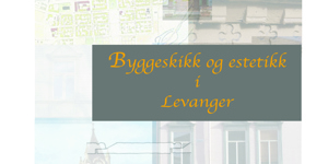 estetikkveileder Levanger-1.jpg