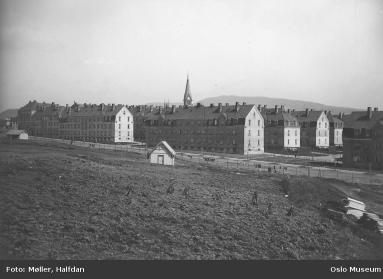 Det Rivertzke kompleks 1910-åra