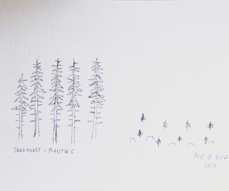 IMGP1052.JPG (1)