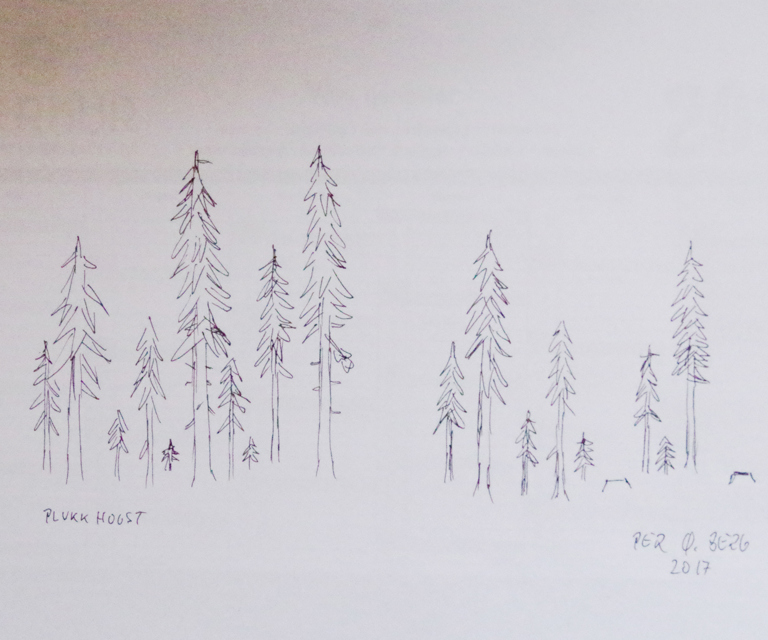 IMGP1053.JPG (1)