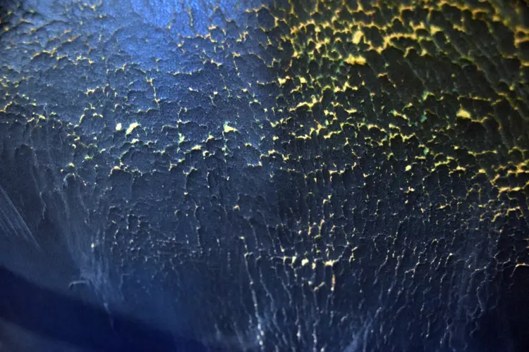 Dessverre er læret hinsides redning, blant annet på grunn av direksjonsrommets sentralvarme.. Foto: Sjur Harby