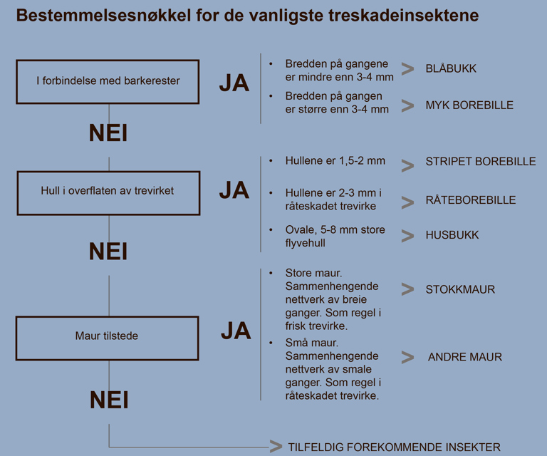 Billeskjema-for-aa-artsbestemme-skadeinsekter.-Ill:-Mycoteam