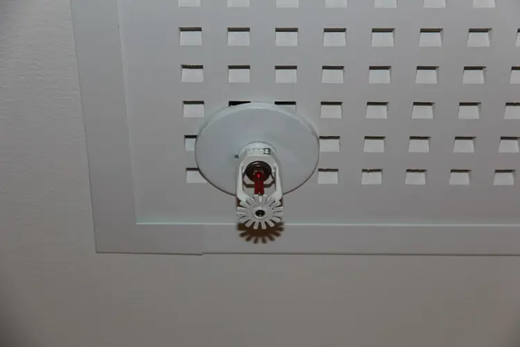 bulb.jpg