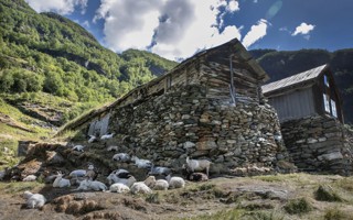 Tørrmuren på Sinjarheim.jpg