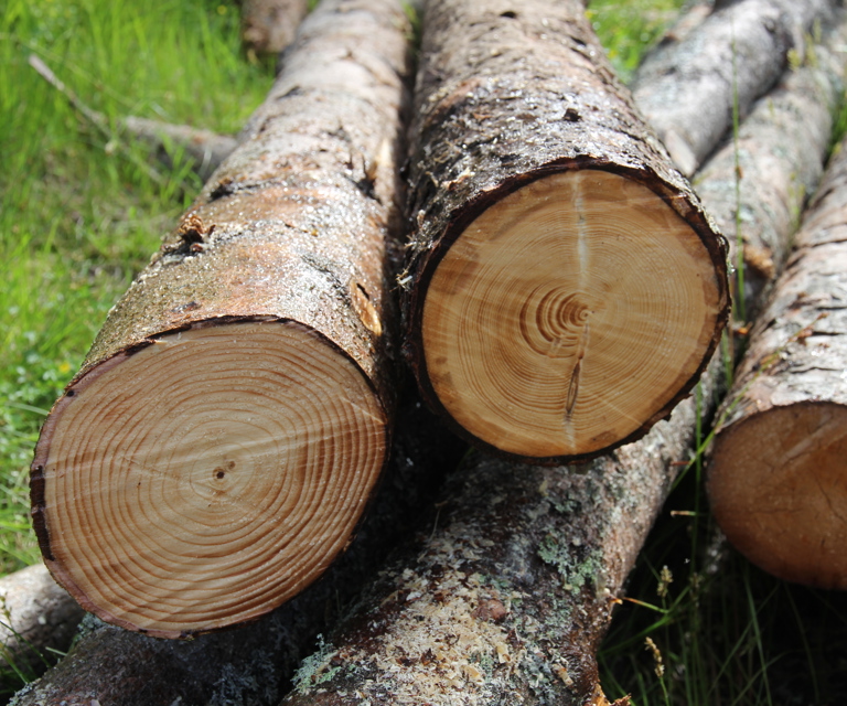 Toemmer-av-gran-i-ulike-kvaliteter.-Foto:-Bygg-og-Bevar