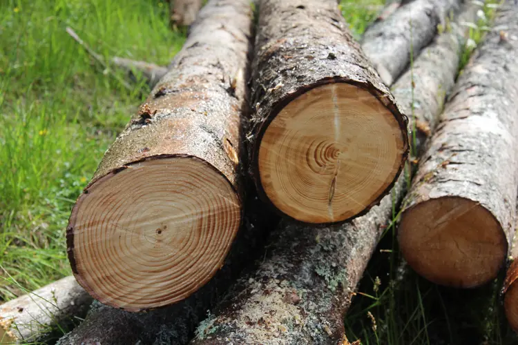 Toemmer-av-gran-i-ulike-kvaliteter.-Foto:-Bygg-og-Bevar