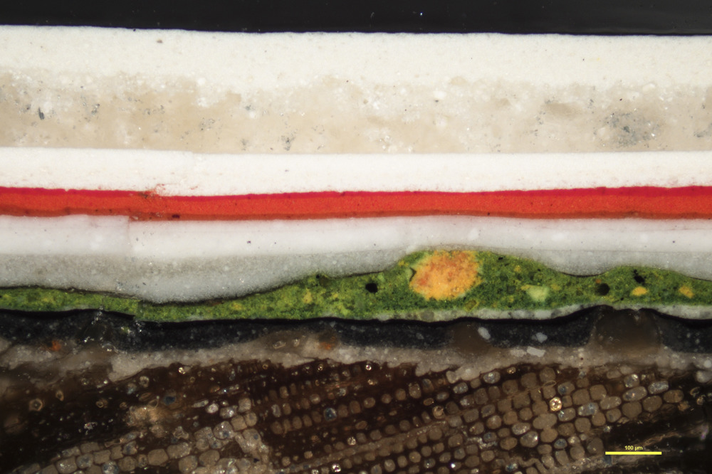 Proviantskriveraarden- Malt-Brystningslist-Paa-Vekselspanel-forstoerret-i-mikroskop.-Foto:_Hulda_Blix