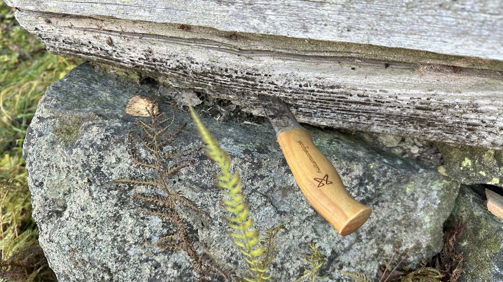 Bilde 5-raate-kniv-skader-tilstandsanalyse