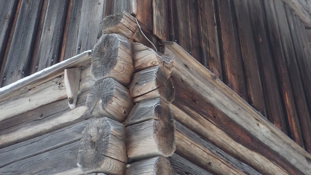 En liten skrå kant på tømmeret avslører at taket har vært lavere.  Foto:  Philip Skaug 