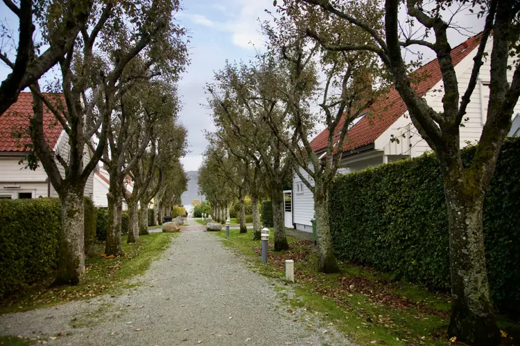 Gangveier og grøntstruktur binder boligene sammen og gir området et lunt, nabolagspreget uttrykk. Foto: Lise Bjelland