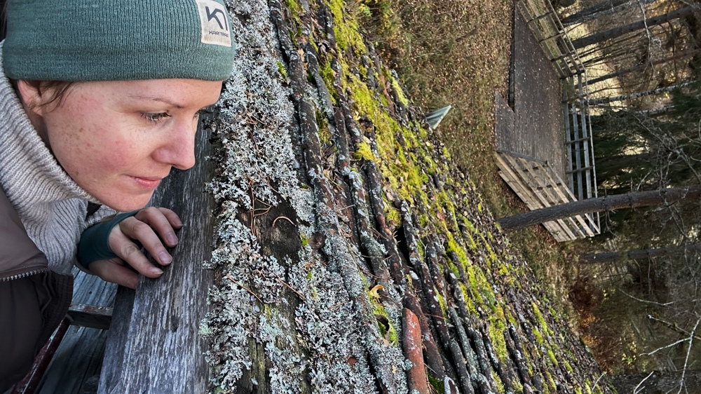 Tak kan være vanskelig å komme til på grunn av høyden – her var det en lav bygning som likevel gjorde det mulig å ta en sjekk. Foto: Christine K Jørgensen
