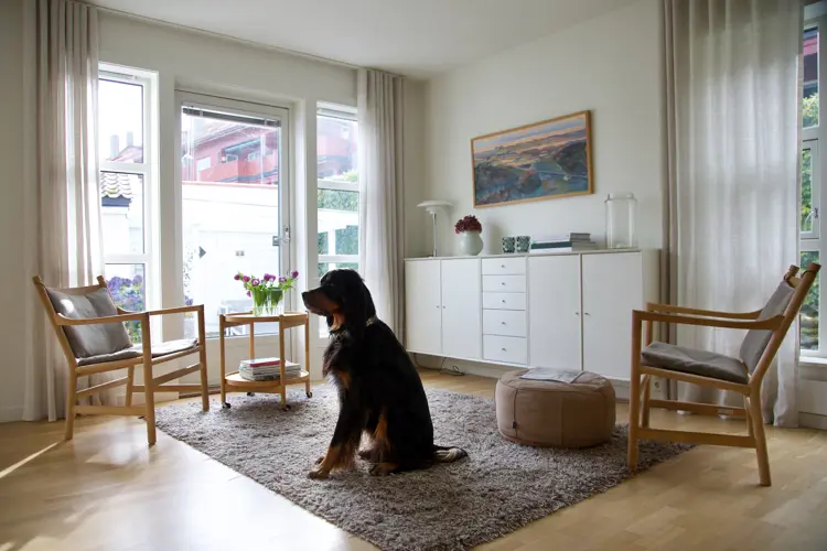 Hus-stue-hund-interioer-1990-bolig