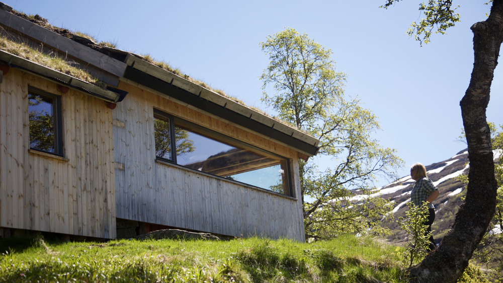Ny, stående kledning av furu kjerneved skal få gråne naturlig med årene. Foto: Lise Bjelland